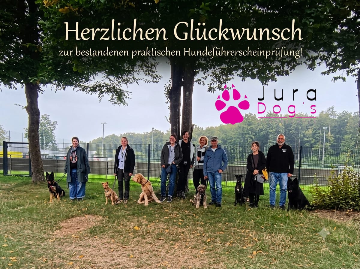 13.09.2026 praktische Prüfung in Parsberg